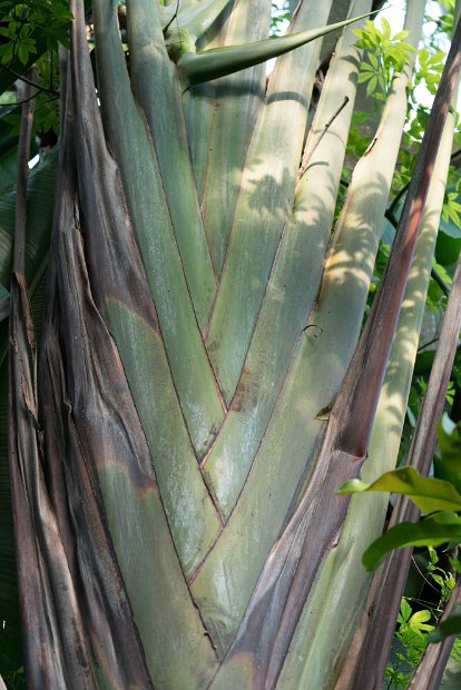 DSC03660