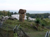 DSC03487.jpg