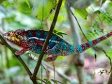 DSC03594.jpg