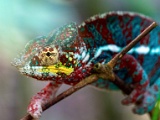 DSC03605.jpg
