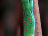 DSC03609.jpg