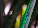 DSC03611.jpg