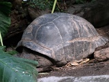 DSC03614.jpg