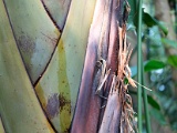 DSC03622.jpg